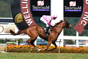 SERPENT - St Leger